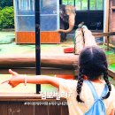 주식회사 우리제주투어 | 제주 점보빌리지 내돈내산 후기, 제주투어패스로 아이들과 코끼리 공연 관람!