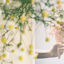 꽃이랑나무랑 이미지