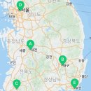 낭만펫 강아지분양 고양이분양 대전 본점 이미지