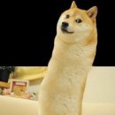 숙이언니 이미지