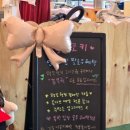 윌리코키 이미지