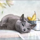 신천동물병원 이미지