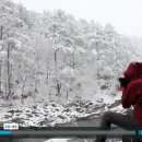 이번주말.. 이미지