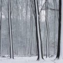 서양화「내가 그린 그림 하나」 이미지