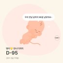 가연약국 | 임신 기록: 25주~28주 임당 결과 28주 백일해 주사 A형간염 주사 정기 초음파 가연 관악 산부인과