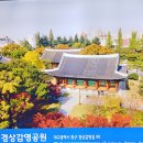 대구포목