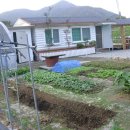 바위농장 이미지