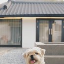 더스테이펜션 이미지