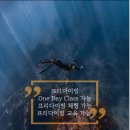 창원 마산 프리다이빙 해양안전교육이수센터라 믿을 수 있는 마린버블다이브