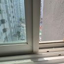 청소시대 네이버블로그