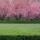 재홍의원 이미지