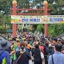 자연과 건강 이미지