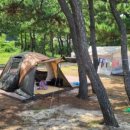 울진식자재마트 이미지