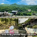 고양이마을 | 허우통 고양이마을 여행후기 기차 타는법부터 망고빙수맛집