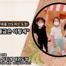 한미르 태권도장 이미지