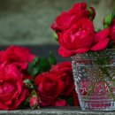 아침의 향기 이미지