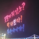 브라운돼지