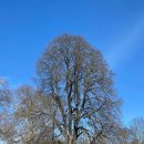 📌 임차권 등기비용, 꼭 소송비용확정 절차 거쳐야 하나요? 대법원의 첫 판단! 대구서부지원변호사강정한 aka대구이혼전문 이미지