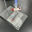 토우의원 | 내 엉망을 받아줘