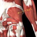 루가의원 이미지