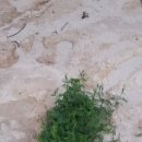 너래농원 이미지