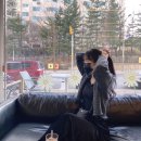 링코노래타운시흥대야점 | 아홉번째 게시글 , Daily