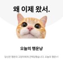 커피특별시 완산점 | 서울도 가고 그냥 저냥 살았음+립우 콘서트🍒🩷