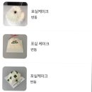 포싵