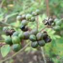 팔용산 체육공원 이미지