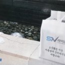 천안삼거리국화원장례식장