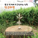 마켓수호
