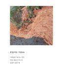 윤애드 - 사천시 | 윤애드