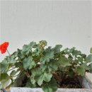 김정한 행정사 사무소 이미지