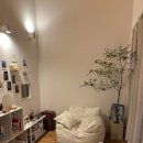 요즘자취필수템 이미지