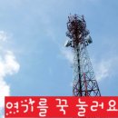 “한 달 3천 원으로 인생 바뀜?” 알뜰폰 리얼 후기 모음 (후회 없는 선택의 순간들)