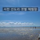 (유)금강자원 | 서천 선도리갯벌체험장 완벽 가이드: 물때·요금·준비물까지(아이 2·어른 2 체험 후기)