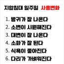 3H지압침대 이미지