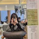 삼송미용실 원흥미용실 희안헤어 가연 디자이너, 손상모 탈출 크리닉 레이어드컷 후기