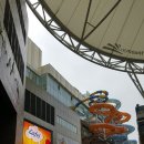 합기도 일산도장 이미지