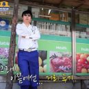 카튠 이미지