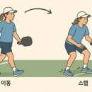 스탭라인