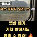 하이닥 - 동구 흥룡로 4 | 공복 올리브유, 진짜 효과 있을까? 4050 출장 다이어트 4~7일차 후기 (feat. 가짜 유기농 구별법)