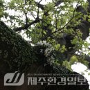 한라전설(주) 이미지