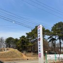 코찜코다리 이미지