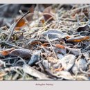 산성의 아침 이미지