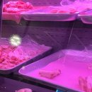 상무지구 프라이빗 삼겹살“이씨네 푸줏간상무점” 솔직후기 ~:0 / 날치알 제발먹어주세요