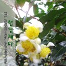 현암농장 이미지