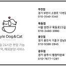 스타일독앤캣 강아지고양이 부천본점 이미지