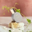 영포스 | 올리브영 여자 향수 추천 💐 향덕이 고른 가성비 학생 향수 모음(포스테스, 플르부아, 헉슬리, 알보우...