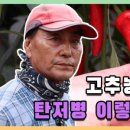 진도고추상회 이미지